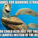turtle on drugs | THANKS FOR BANNING STRAWS; YOU COULD ALSO JUST PUT THEM IN A LANDFILL INSTEAD OF THE OCEAN | image tagged in turtle on drugs | made w/ Imgflip meme maker
