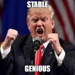 Angry Donald Trump  | STABLE; GENIOUS | image tagged in angry donald trump | made w/ Imgflip meme maker