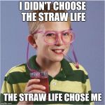 Straw glasses | I DIDN'T CHOOSE THE STRAW LIFE; THE STRAW LIFE CHOSE ME | image tagged in straw glasses | made w/ Imgflip meme maker