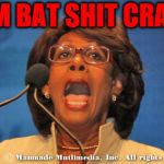 Maxine waters | I AM BAT SHIT CRAZY! | image tagged in maxine waters | made w/ Imgflip meme maker