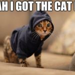 Hoody Cat | YEAH I GOT THE CAT NIP | image tagged in memes,hoody cat | made w/ Imgflip meme maker