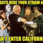 The Scarecrow gets a diploma | IT SAYS HERE YOUR STRAW A$$; CAN'T ENTER CALIFORNIA | image tagged in the scarecrow gets a diploma | made w/ Imgflip meme maker