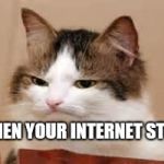 Disappointed Cat | WHEN YOUR INTERNET STOPS | image tagged in disappointed cat | made w/ Imgflip meme maker