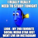 Dory | I REALLY REALLY NEED TO STUDY TONIGHT; LOOK - MY 2ND FAVORITE SOCIAL MEDIA STAR JUST WENT LIVE ON INSTAGRAM! | image tagged in dory | made w/ Imgflip meme maker