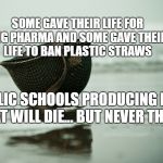 Freedom requires Sacrifice | SOME GAVE THEIR LIFE FOR BIG PHARMA AND SOME GAVE THEIR LIFE TO BAN PLASTIC STRAWS; PUBLIC SCHOOLS PRODUCING KIDS THAT WILL DIE... BUT NEVER THINK | image tagged in freedom requires sacrifice | made w/ Imgflip meme maker