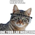 Safety Cat | HAVE YOU... DONE YOUR LAB INDUCTION? | image tagged in safety cat | made w/ Imgflip meme maker
