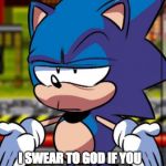 Sonic Bruh | GUYS. I'M RIGHT HERE. I SWEAR TO GOD IF YOU INSULT ME ONE LAST TIME... | image tagged in sonic bruh | made w/ Imgflip meme maker