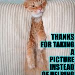 WOW THANKS | WOW HUMAN! REALLY? THANKS FOR TAKING A PICTURE INSTEAD OF HELPING ME OUT OF THIS! | image tagged in wow thanks | made w/ Imgflip meme maker