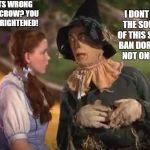 Scarecrow And Dorothy | I DONT LIKE THE SOUNDS OF THIS STRAW BAN DOROTHY! NOT ONE BIT! WHATS WRONG SCARECROW? YOU LOOK FRIGHTENED! | image tagged in scarecrow and dorothy | made w/ Imgflip meme maker