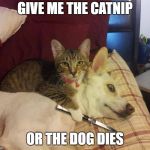 cat, dog & knife | GIVE ME THE CATNIP; OR THE DOG DIES | image tagged in cat dog & knife | made w/ Imgflip meme maker