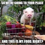 baby pig please do not eat bacon | SO WE'RE GOING TO YOUR PLACE; AND THIS IS MY FOOD. RIGHT? | image tagged in baby pig please do not eat bacon | made w/ Imgflip meme maker
