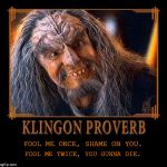 Klingon Proverb Fool me once | FOOL ME ONCE, SHAME ON YOU. FOOL ME TWICE, YOU GUNNA DIE. | image tagged in klingon proverb template,klingon proverb,klingon | made w/ Imgflip meme maker