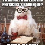 Ohm Slaw | WHAT'S THE BEST DISH TO BRING TO AN ELECTRO PHYSICIST'S BARBEQUE? OHM SLAW | image tagged in science cat good day,science cat,bad pun,puns,electronics,electricity | made w/ Imgflip meme maker