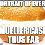 Nothing burger | PORTRAIT OF EVERY; MUELLER CASE THUS FAR | image tagged in nothing burger | made w/ Imgflip meme maker