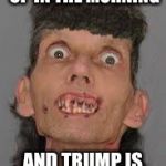 Meth Zombeh | WHEN LIBS WAKE UP IN THE MORNING; AND TRUMP IS STILL THE POTUS! | image tagged in meth zombeh | made w/ Imgflip meme maker