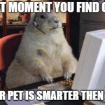 Call Center Animal | THAT MOMENT YOU FIND OUT; YOUR PET IS SMARTER THEN YOU | image tagged in call center animal | made w/ Imgflip meme maker