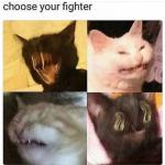choose your fighter  meme