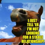Just Horsing Around | WHENEVER A FILLY ASKS ME TO MOVE IN WITH HER, I JUST TELL 'ER I'M NOT LOOKING FOR A STABLE RELATIONSHIP! | image tagged in just horsing around | made w/ Imgflip meme maker