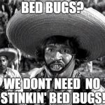 Don't Need No Stinkin' Bed Bugs | BED BUGS? WE DONT NEED
 NO STINKIN' BED BUGS! | image tagged in badges,badges we dont need no stinking badges,bed bugs,classic movies,stink,movie quotes | made w/ Imgflip meme maker