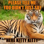 Don't go there. Tiger Week 2018, July 29 - August 5, a TigerLegend1046 event | PLEASE TELL ME YOU DIDN'T JUST SAY; "HERE KITTY KITTY" | image tagged in srsly tiger,memes,tiger week 2018,tiger week,tigerlegend1046,kitty | made w/ Imgflip meme maker