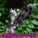 Finish Him!!! | FLAWLESS VICTORY!!! | image tagged in kitten fight,memes,mortal kombat,cats,finish him,animals | made w/ Imgflip meme maker