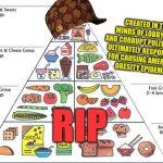 Go Keito  | CREATED IN THE MINDS OF LOBBYISTS AND CORRUPT POLITICIANS, ULTIMATELY RESPONSIBLE FOR CAUSING AMERICA’S OBESITY EPIDEMIC; RIP | image tagged in food pyramid,scumbag,dieting,diet,health,statism | made w/ Imgflip meme maker