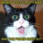 lol | WHEN YOU PLAY FNAF; AND THE POWER GOES OUT | image tagged in surprised cat,suprised,fnaf,five nights at freddy's,memes,cat | made w/ Imgflip meme maker