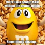 peanut M&M | He is like a peanut M&M without the peanut inside.. Something's missing.... | image tagged in peanut mm | made w/ Imgflip meme maker