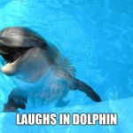 Laughing Dolphin | LAUGHS IN DOLPHIN | image tagged in laughing dolphin | made w/ Imgflip meme maker
