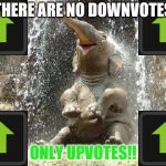 Upvote Elephant | THERE ARE NO DOWNVOTES; ONLY UPVOTES!! | image tagged in upvote elephant | made w/ Imgflip meme maker