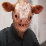 cow man