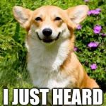 mischievous corgi  | WAS THAT YOU? I JUST HEARD A FART. | image tagged in mischievous corgi | made w/ Imgflip meme maker