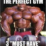 Tyrone Muscle | THE PERFECT GYM; 3 "MUST HAVE" | image tagged in tyrone muscle | made w/ Imgflip meme maker