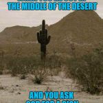See? That cactus probably has water in it!!! | WHEN YOU'RE OUT IN THE MIDDLE OF THE DESERT; AND YOU ASK GOD FOR A SIGN | image tagged in cactus finger,memes,cactus,god,funny,signs | made w/ Imgflip meme maker