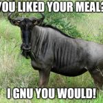 gnu | YOU LIKED YOUR MEAL? I GNU YOU WOULD! | image tagged in gnu | made w/ Imgflip meme maker