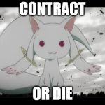 Contract? | CONTRACT; OR DIE | image tagged in magical girl cat kyubey,kyubey,magic,magical,cat,girl | made w/ Imgflip meme maker