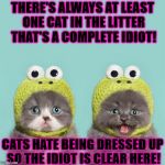 THE IDIOT | THERE'S ALWAYS AT LEAST ONE CAT IN THE LITTER THAT'S A COMPLETE IDIOT! CATS HATE BEING DRESSED UP SO THE IDIOT IS CLEAR HERE! | image tagged in the idiot | made w/ Imgflip meme maker