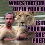 Not that this could ever happen to you, of course. | IS IT YOUR WIFE?  SHE'S PRETTY. WHO'S THAT DRIVING OFF IN YOUR CAR? | image tagged in lion awkward romance,memes | made w/ Imgflip meme maker