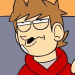 Eddsworld | DOES THIS LOOK LIKE; THE FACE OF MERCY? | image tagged in eddsworld | made w/ Imgflip meme maker