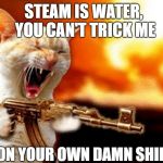 machine gun cat | IRON YOUR OWN DAMN SHIRT! STEAM IS WATER, YOU CAN'T TRICK ME | image tagged in machine gun cat | made w/ Imgflip meme maker