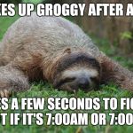 Sleeping sloth | WAKES UP GROGGY AFTER A NAP; TAKES A FEW SECONDS TO FIGURE OUT IF IT'S 7:00AM OR 7:00PM | image tagged in sleeping sloth,memes | made w/ Imgflip meme maker