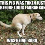 Dog pooping  | THIS PIC WAS TAKEN JUST BEFORE LOUIS FARRAHKAN; WAS BEING BORN | image tagged in dog pooping | made w/ Imgflip meme maker