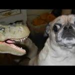 Dinosaur & dog