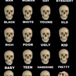 idiot skull extended | I DIDN'T HAVE A POINT, I JUST WANTED TO SHOW OFF MY SKULL COLLECTION | image tagged in idiot skull extended | made w/ Imgflip meme maker