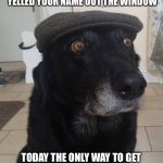 Back In My Day Dog | BACK IN MY DAY WHEN YOUR PARENTS WANTED TO SEE YOU THEY YELLED YOUR NAME OUT THE WINDOW; TODAY THE ONLY WAY TO GET THE KIDS TO COME SEE YOU IS TO CHANGE THE WI-FI PASSWORD | image tagged in back in my day dog | made w/ Imgflip meme maker