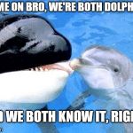 How taxonomy works | COME ON BRO, WE'RE BOTH DOLPHINS; AND WE BOTH KNOW IT, RIGHT? | image tagged in dolphin and whale | made w/ Imgflip meme maker