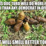 dog turd | THIS DOG TURD WILL DO MORE FOR YOU THAN ANY DEMOCRAT IN OFFICE; IT WILL SMELL BETTER TOO. | image tagged in dog turd | made w/ Imgflip meme maker