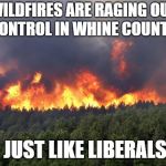 Forest fire | WILDFIRES ARE RAGING OUT OF CONTROL IN WHINE COUNTRY!!! JUST LIKE LIBERALS | image tagged in forest fire | made w/ Imgflip meme maker