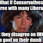 Highly unlikely, but who knows for sure? | What if Conservatives agree with many Liberals; But they disagree on IMGFlip just to goof on their dumb replies | image tagged in bill and ted | made w/ Imgflip meme maker