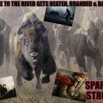 Don't Always Stand Your Ground | LAST ONE TO THE RIVER GETS BEATEN, BRANDED & BANISHED! SPARTAN STRONG! | image tagged in don't always stand your ground | made w/ Imgflip meme maker